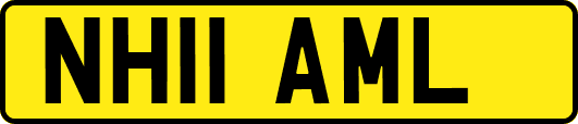 NH11AML