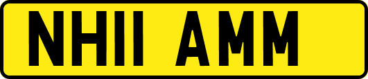 NH11AMM