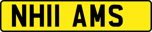 NH11AMS