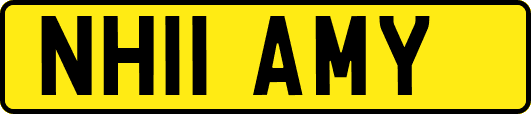 NH11AMY