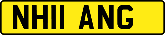 NH11ANG