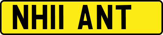 NH11ANT