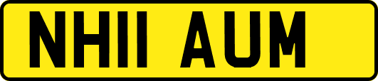 NH11AUM