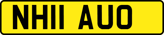 NH11AUO