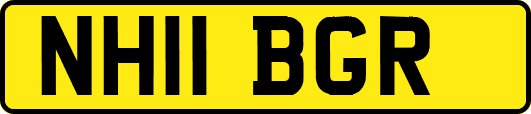 NH11BGR