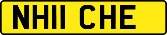 NH11CHE