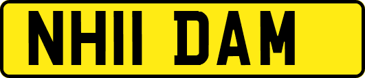 NH11DAM