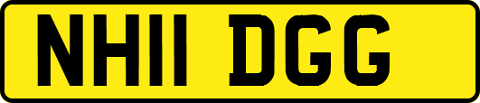 NH11DGG