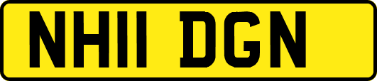 NH11DGN