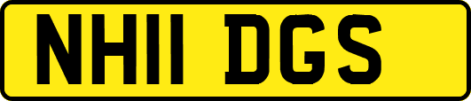 NH11DGS