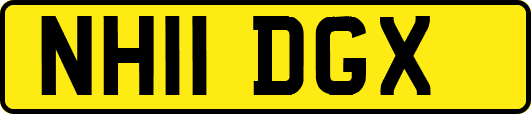 NH11DGX