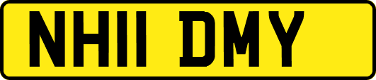 NH11DMY