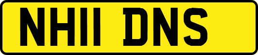 NH11DNS