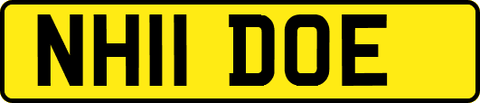 NH11DOE