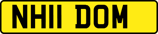 NH11DOM