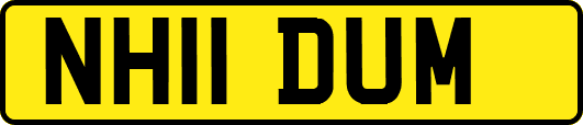 NH11DUM