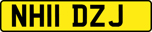 NH11DZJ