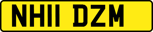 NH11DZM