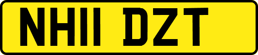 NH11DZT