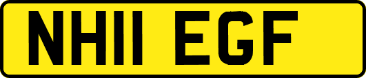 NH11EGF