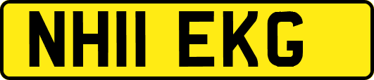 NH11EKG