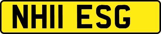 NH11ESG