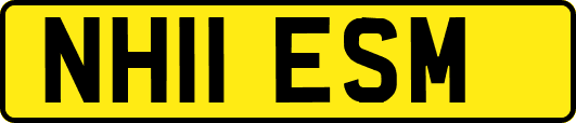 NH11ESM