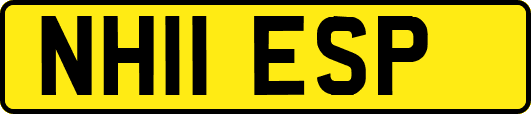 NH11ESP