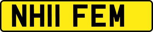 NH11FEM