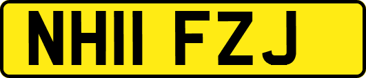 NH11FZJ