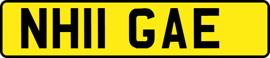 NH11GAE