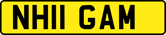 NH11GAM