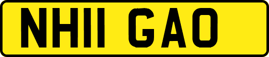 NH11GAO