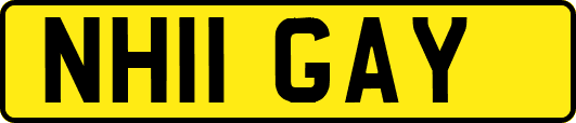 NH11GAY