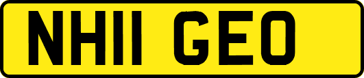 NH11GEO