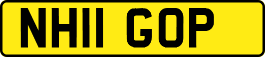 NH11GOP