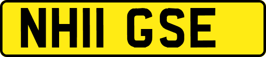 NH11GSE