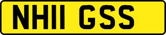 NH11GSS