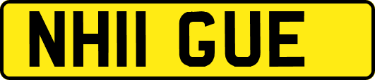 NH11GUE