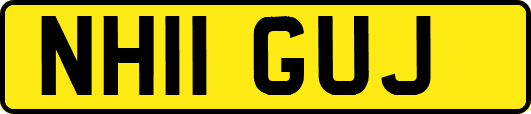 NH11GUJ