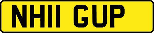 NH11GUP