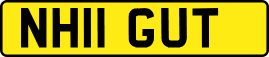 NH11GUT