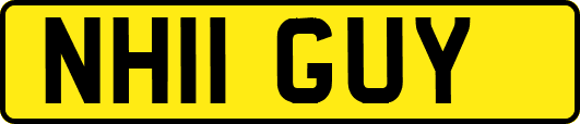 NH11GUY