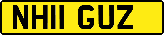 NH11GUZ