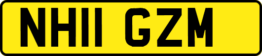 NH11GZM