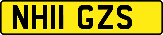 NH11GZS