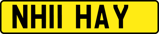 NH11HAY