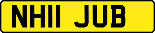 NH11JUB