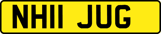 NH11JUG