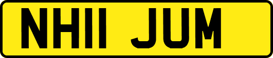 NH11JUM